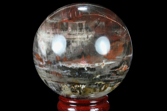 Colorful Petrified Wood Sphere - Madagascar #81545